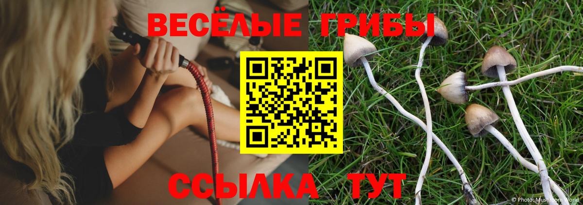 Псилоцибиновые грибы Cubensis  Вход с VPN  Печора  Галлюциногенные грибы GOLDEN TEACHER 